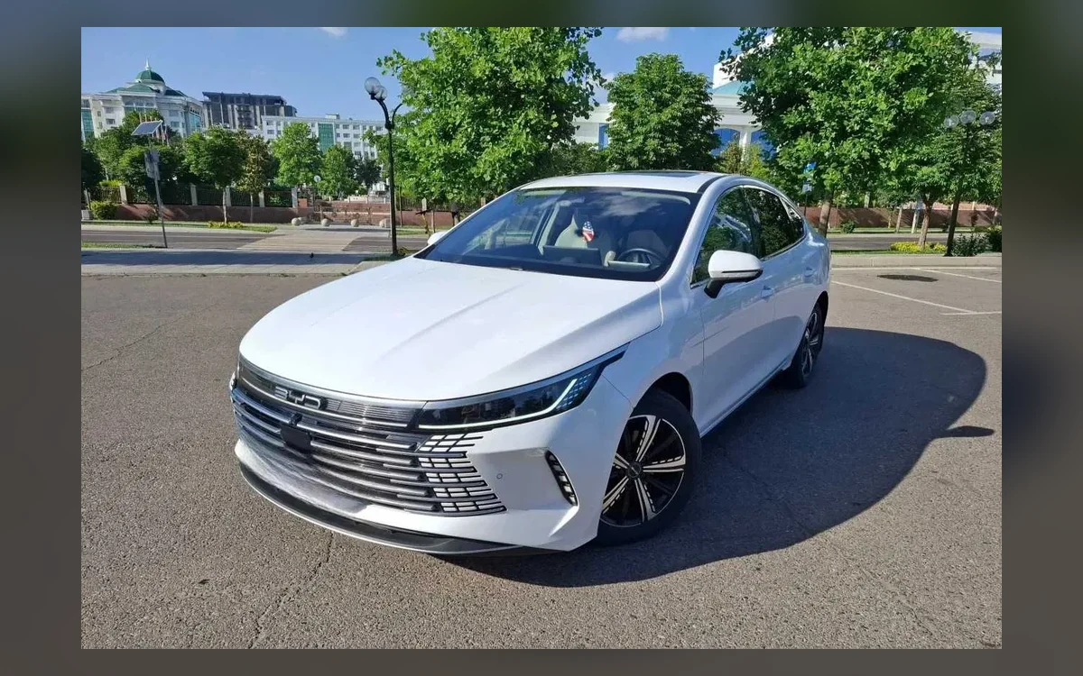 BYD Chazor